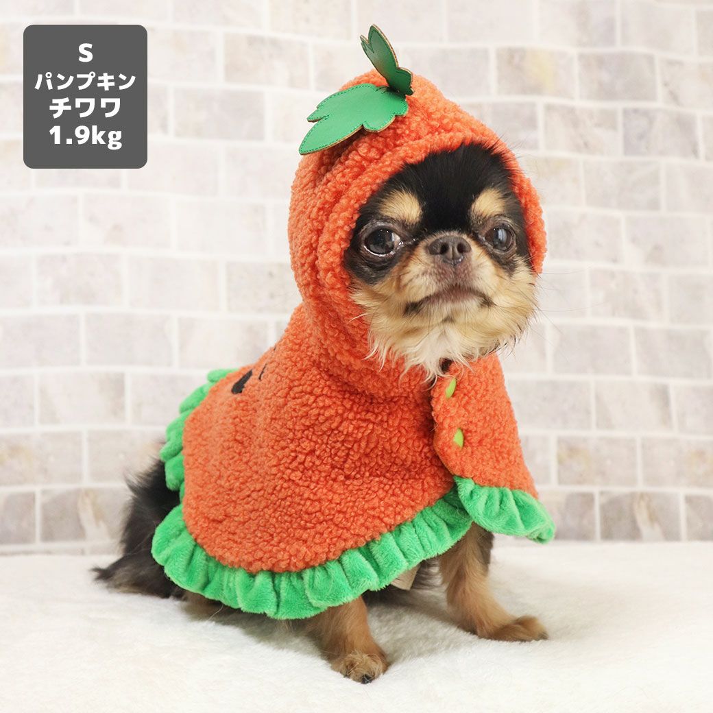 犬服ハンドメイド　洋服　浴衣　被布コート　❣️ここちゃん❣️ iDog ハロウィンケープ アイドッグ-犬猫用品通販 IDOG&ICAT|ペット 犬 服
