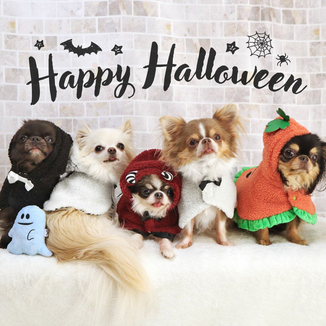 iDog ハロウィンケープ アイドッグ-犬猫用品通販 IDOG&ICAT|ペット 犬 服