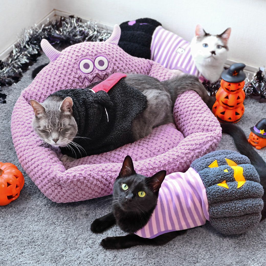 iDog ハロウィンケープ アイドッグ-犬猫用品通販 IDOG&ICAT|ペット 犬 服