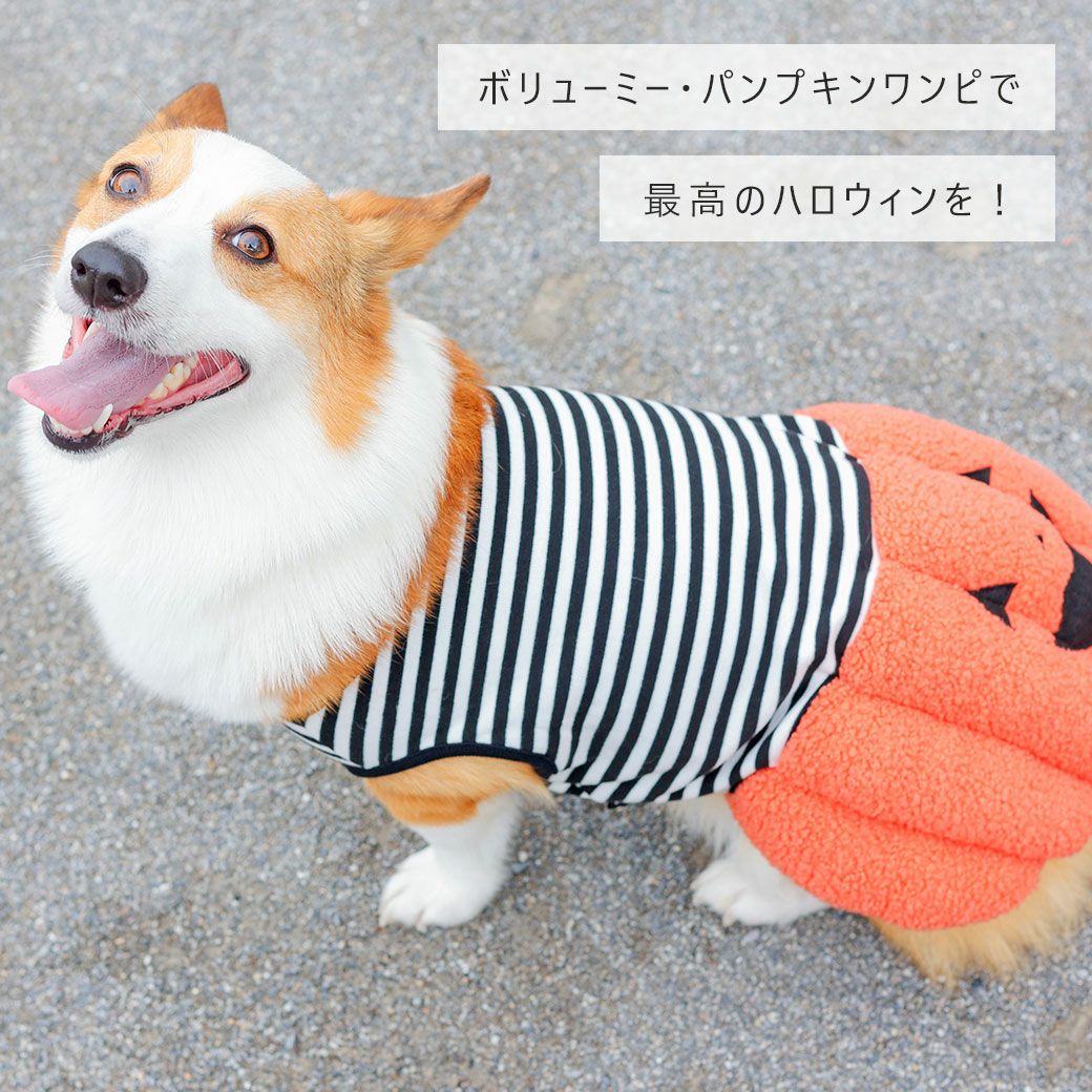 iDog パンプキンワンピ アイドッグ-犬猫用品通販 IDOG&ICAT|ペット 犬 服
