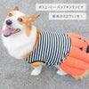 iDogパンプキンワンピアイドッグ