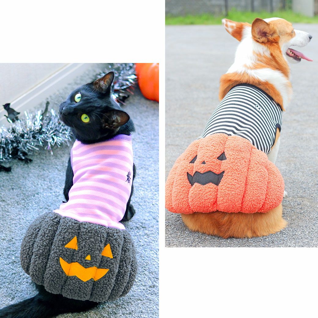 ボーダー×かぼちゃスカートがかわいい犬用ハロウィンワンピ