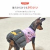 後ろからみてもかわいいボリュームパンプキンスカート