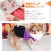 愛犬の着心地を最優先に考えたドッグウェア