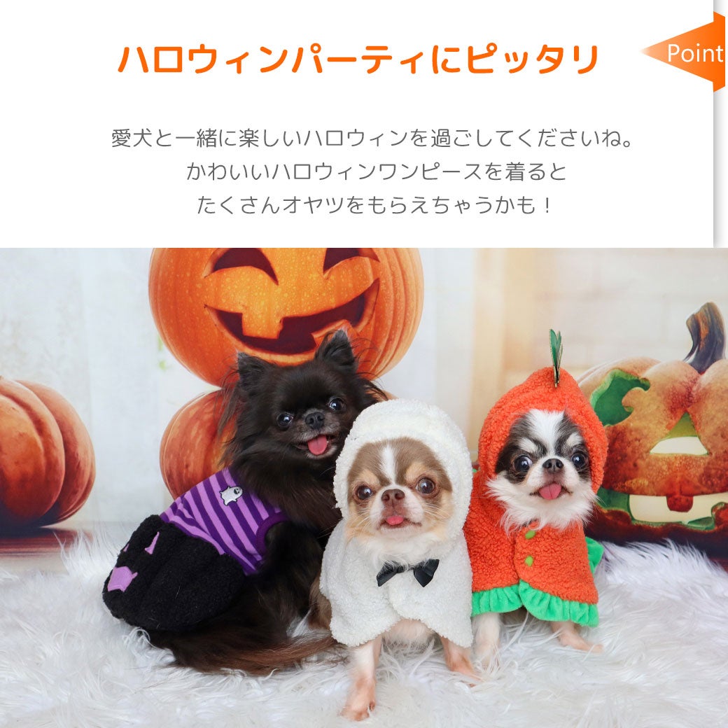 ハロウィンパーティにピッタリの愛犬用コスチュームウェア