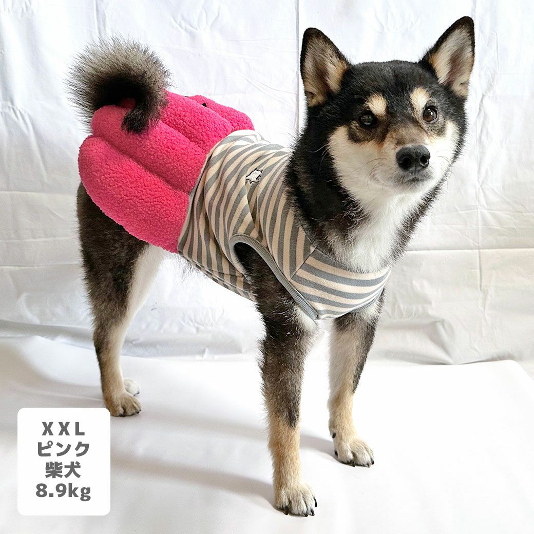 iDog パンプキンワンピ アイドッグ-犬猫用品通販 IDOG&ICAT|ペット 犬 服