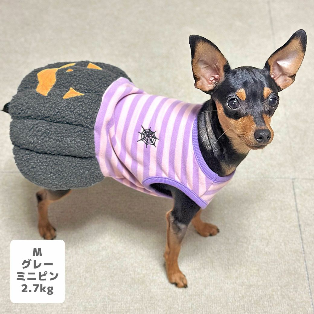 iDog パンプキンワンピ アイドッグ-犬猫用品通販 IDOG&ICAT|ペット 犬 服