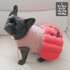 フレブル10.9kg(首40/胴58/丈30cm)のPcheちゃんはサーモンピンクのFを着用