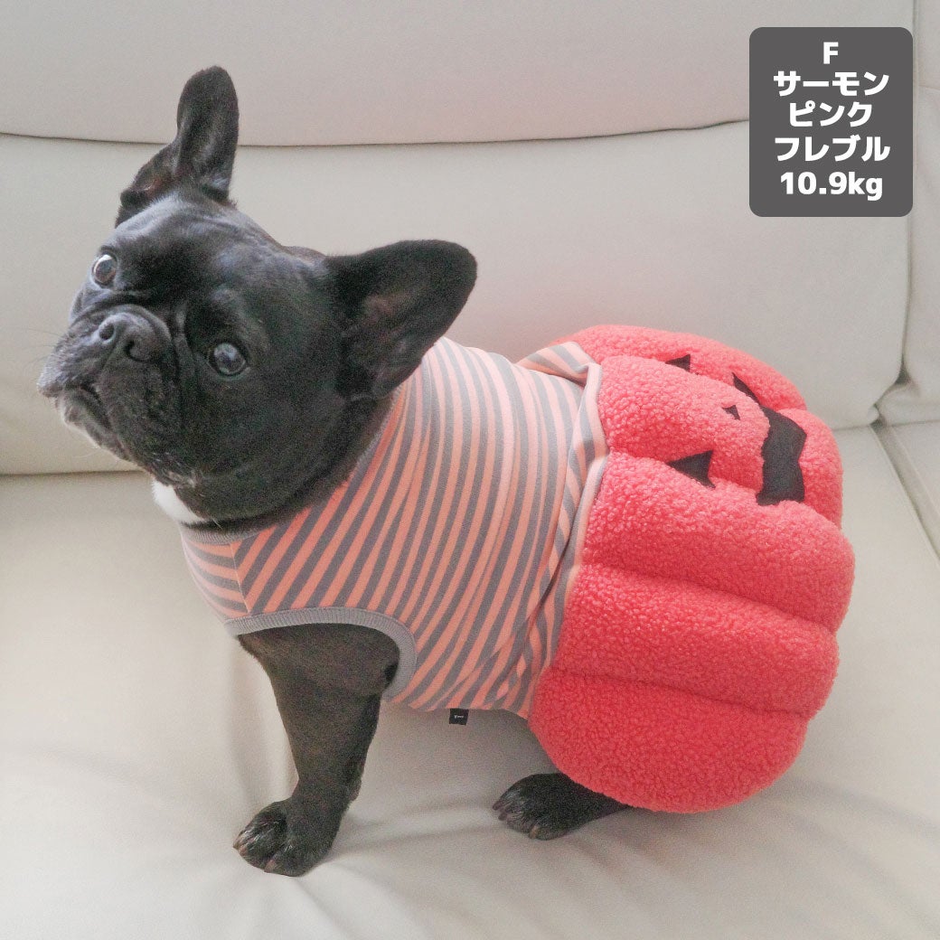 フレブル10.9kg(首40/胴58/丈30cm)のPcheちゃんはサーモンピンクのFを着用