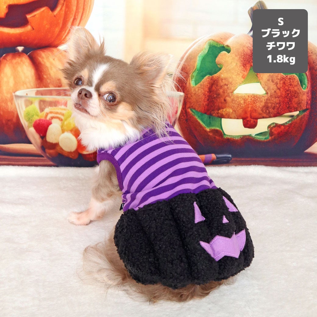 チワワ1.8kg(首18/胴29/丈21cm)の玉青ちゃんはブラックのSを着用