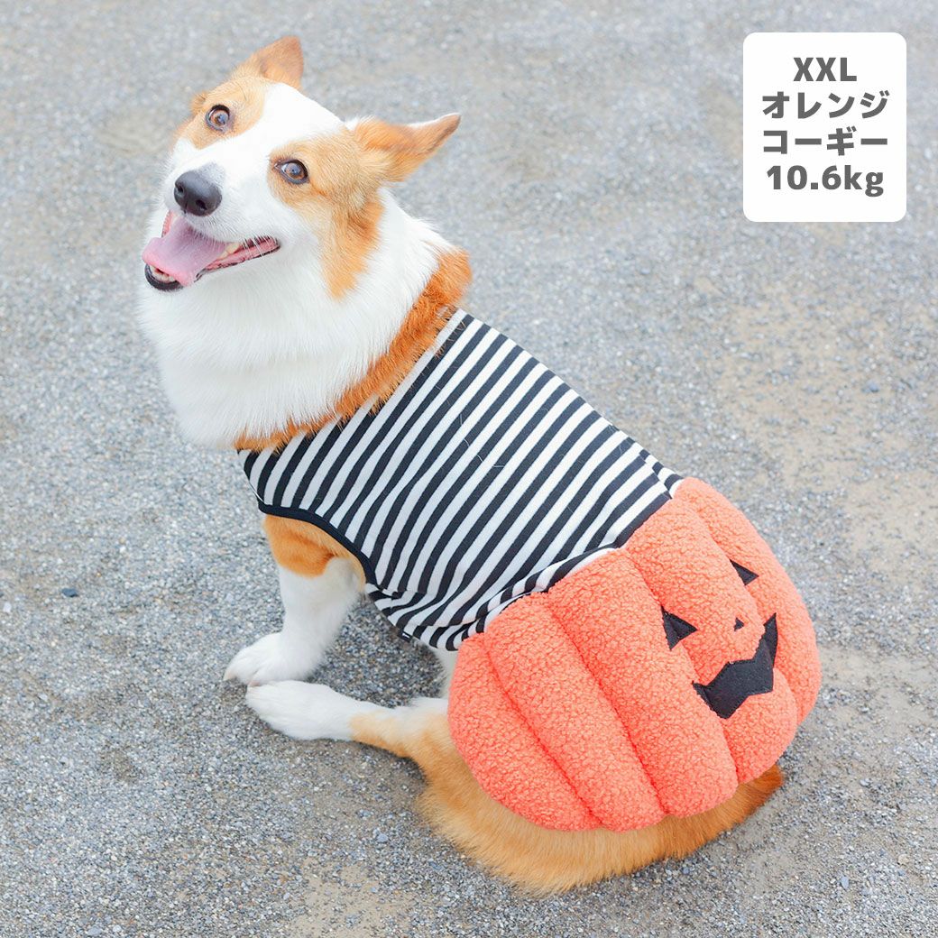 iDog パンプキンワンピ アイドッグ-犬猫用品通販 IDOG&ICAT|ペット 犬 服
