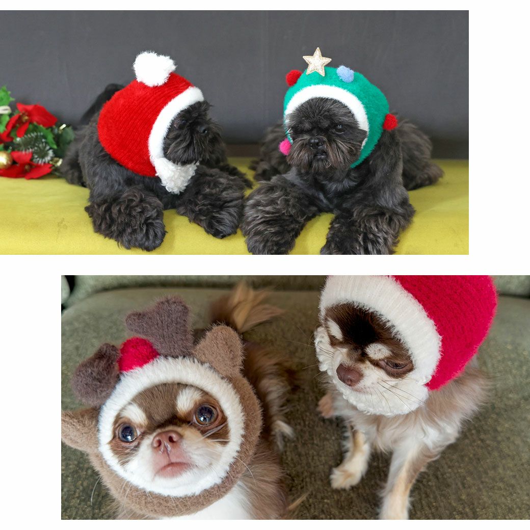 iDog クリスマススヌード アイドッグ-犬猫用品通販 IDOG&ICAT|ペット 犬 服