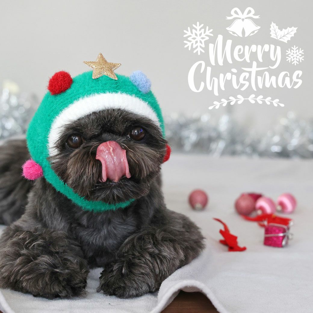 iDog クリスマススヌード アイドッグ-犬猫用品通販 IDOG&ICAT|ペット 犬 服