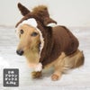 ミニチュアダックス4.3kg(首27/胴40/丈33cm)のALFaくんはブラウンのDMを着用