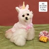 トイプー1.2kg(首15/胴26/丈19cm)のマユリちゃんはピンク25のXSを着用