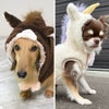 ふわふわのかわいいお馬さんに変身！