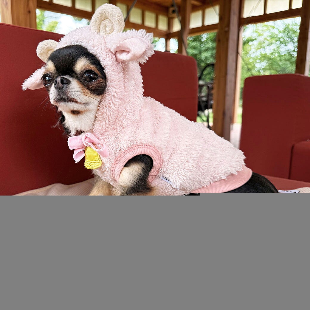 チワワ1.8kg(首19.5/胴27.5/丈22cm)のざらめちゃんはピーチ26のXSを着用