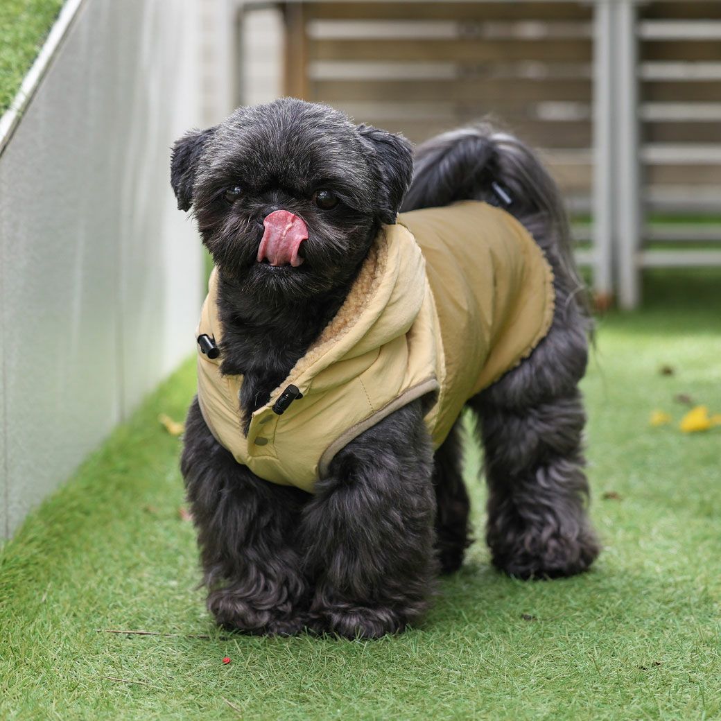iDog SHIELD COAT ウィンドブレーカー 裏ぽか 撥水 アイドッグ-犬猫