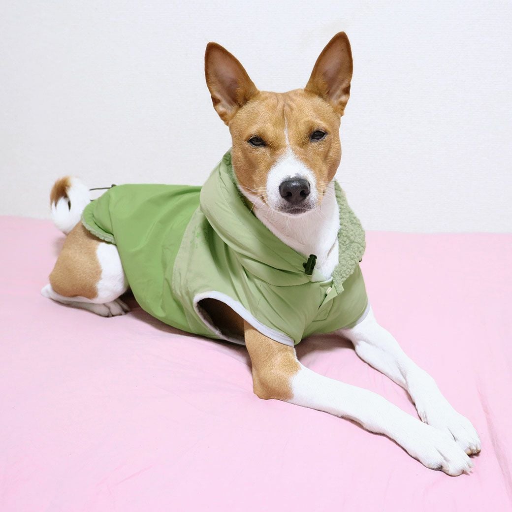 iDog SHIELD COAT ウィンドブレーカー 裏ぽか 撥水 アイドッグ-犬猫