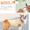 iDogストレッチ裏起毛ロゴタンクアイドッグ