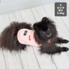 ポメラニアン2.4kg(首19/胴30/丈26cm)のはちみつちゃんはピンクのSを着用