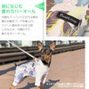 アーバントロピカル柄で、ワンランク上の夏スタイル