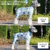 ミニチュアシュナウザー8.0kg(首30/胴48/丈37cm)のマハロくんはトロピカルカーキのLとXLを着用