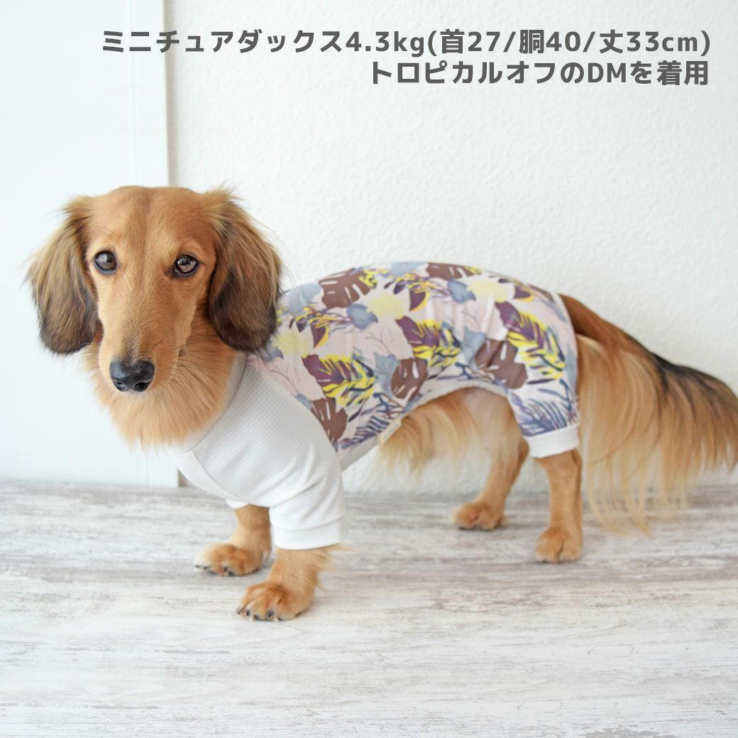 iDog COOL+MOSCAPE アーバントロピカルカバーオール 接触冷感 防蚊