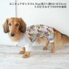 ミニチュアダックス4.3kg(首27/胴40/丈33cm)のALFaくんはトロピカルオフのDMを着用