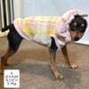 ミニピン2.7kg(首20/胴36/丈23.5cm)のルナちゃんはピンク25のS/Mを着用