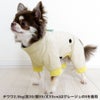 チワワ2.5kg(首20/胴35/丈33cm)のピクルスくんはグレージュのSを着用