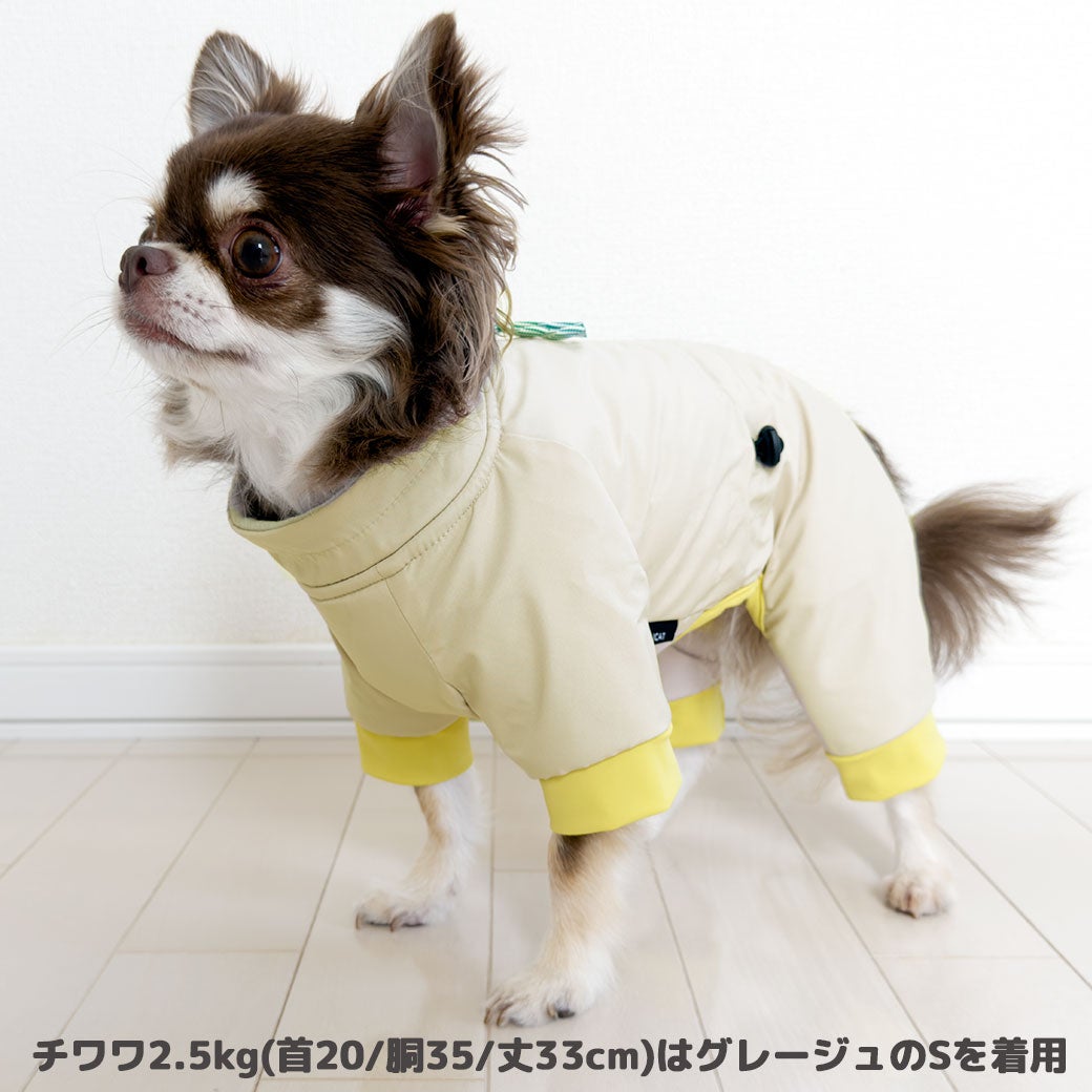 チワワ2.5kg(首20/胴35/丈33cm)のピクルスくんはグレージュのSを着用