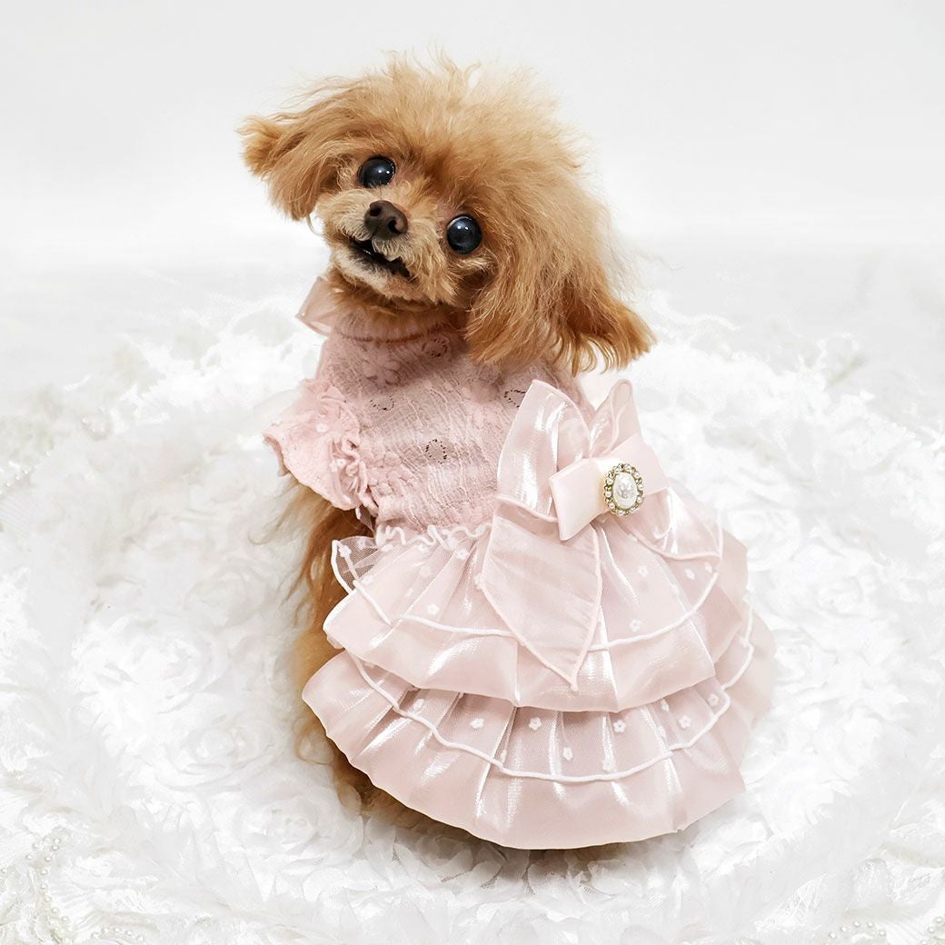 iDogウェディング風レースワンピ