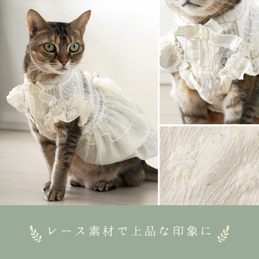 iDogウェディング風レースワンピ