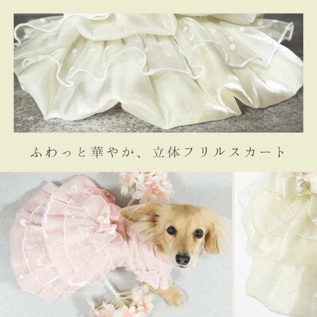 iDogウェディング風レースワンピ