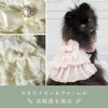 iDogウェディング風レースワンピ