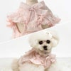 iDogウェディング風レースワンピ