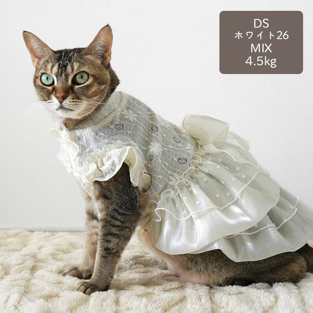 MIX4.5kg(首21/胴36/丈34cm)のニコちゃんはホワイト26のDSを着用