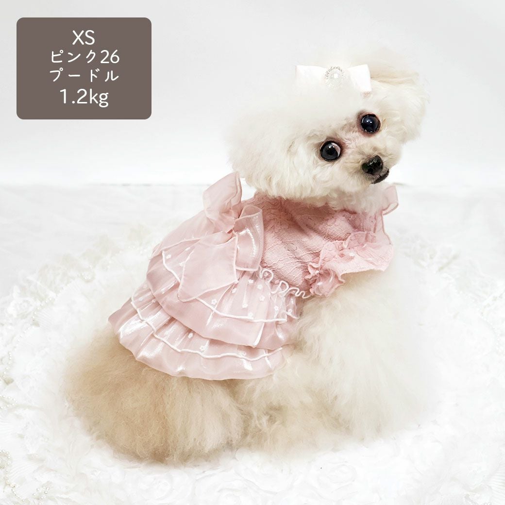 トイプー1.2kg(首15/胴26/丈19cm)のマユリちゃんはピンク26のXSを着用