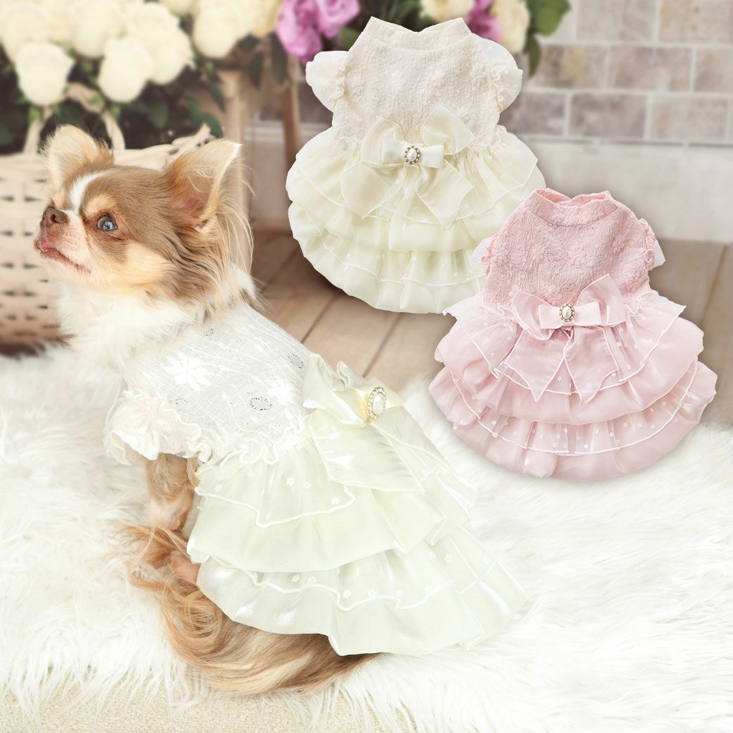 iDogウェディング風レースワンピ