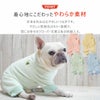 全身を包み込むやさしいつなぎ