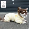 チワワ2.2kg(首18.5/胴30/丈30cm)のピクルスくんはクリームイエローのSを着用
