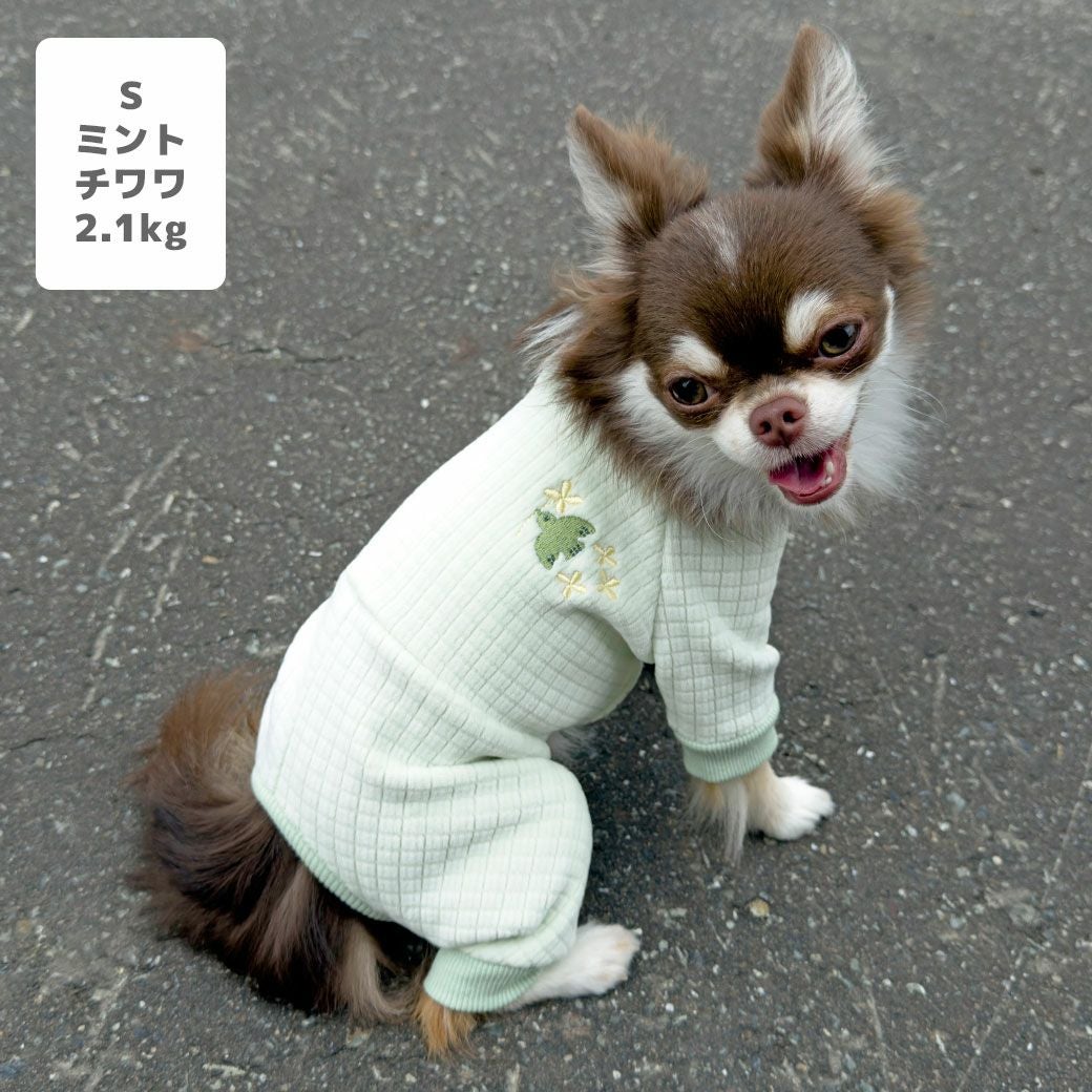 チワワ2.1kg(首19.5/胴30/丈30cm)のオリーブくんはミントのSを着用