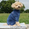 トイプー4.7kg(首26/胴42/丈36cm)のフク丸くんはミッドナイトのLを着用