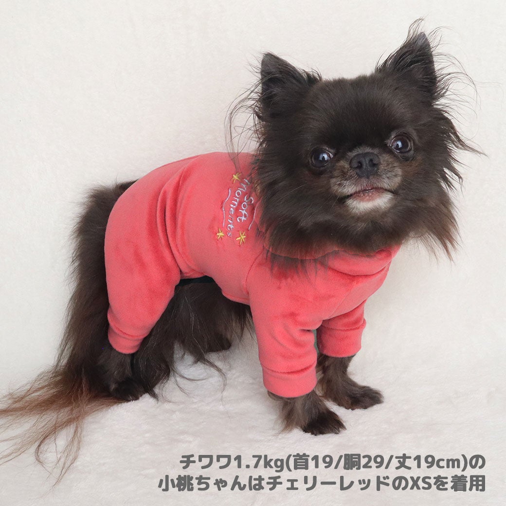 チワワ1.7kg(首19/胴29/丈19cm)の小桃ちゃんはチェリーレッドのXSを着用
