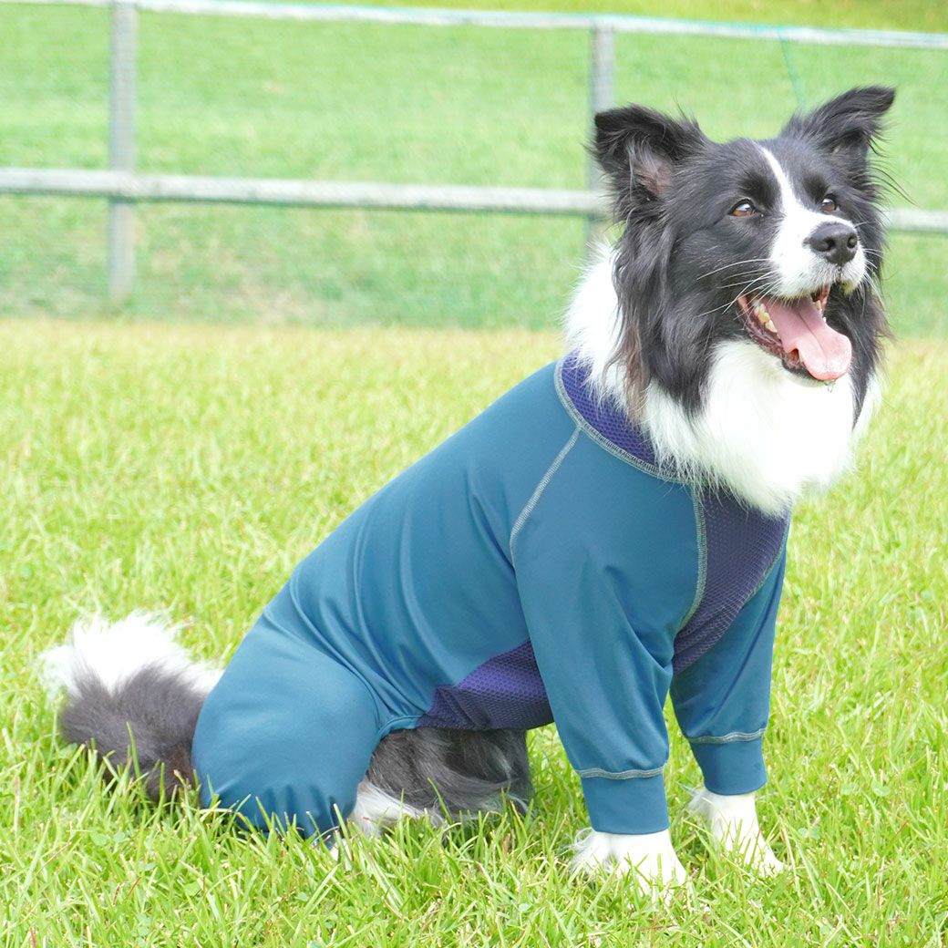 iDog 中大型犬用 ウルトラフィットドッグカバー アイドッグ-犬猫ペット
