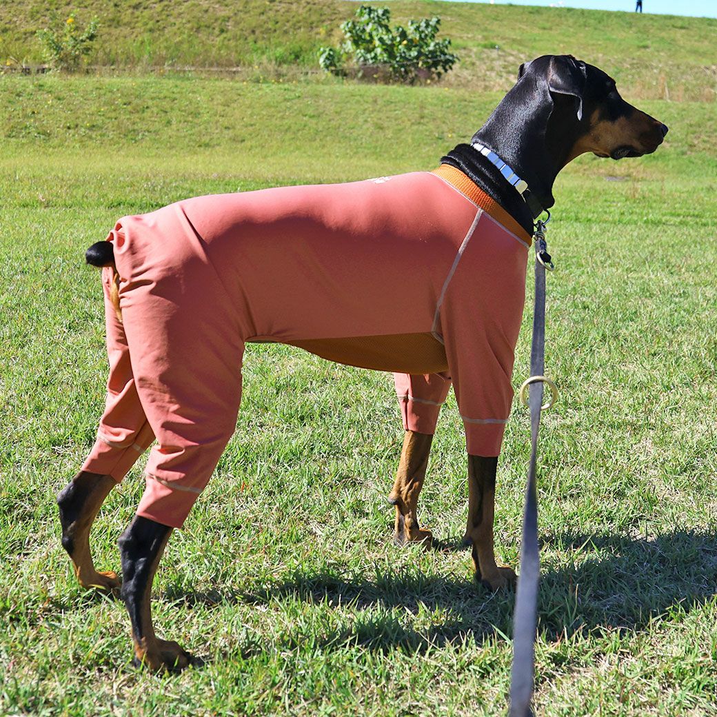 iDog 中大型犬用 ウルトラフィットドッグカバー アイドッグ-犬猫ペット