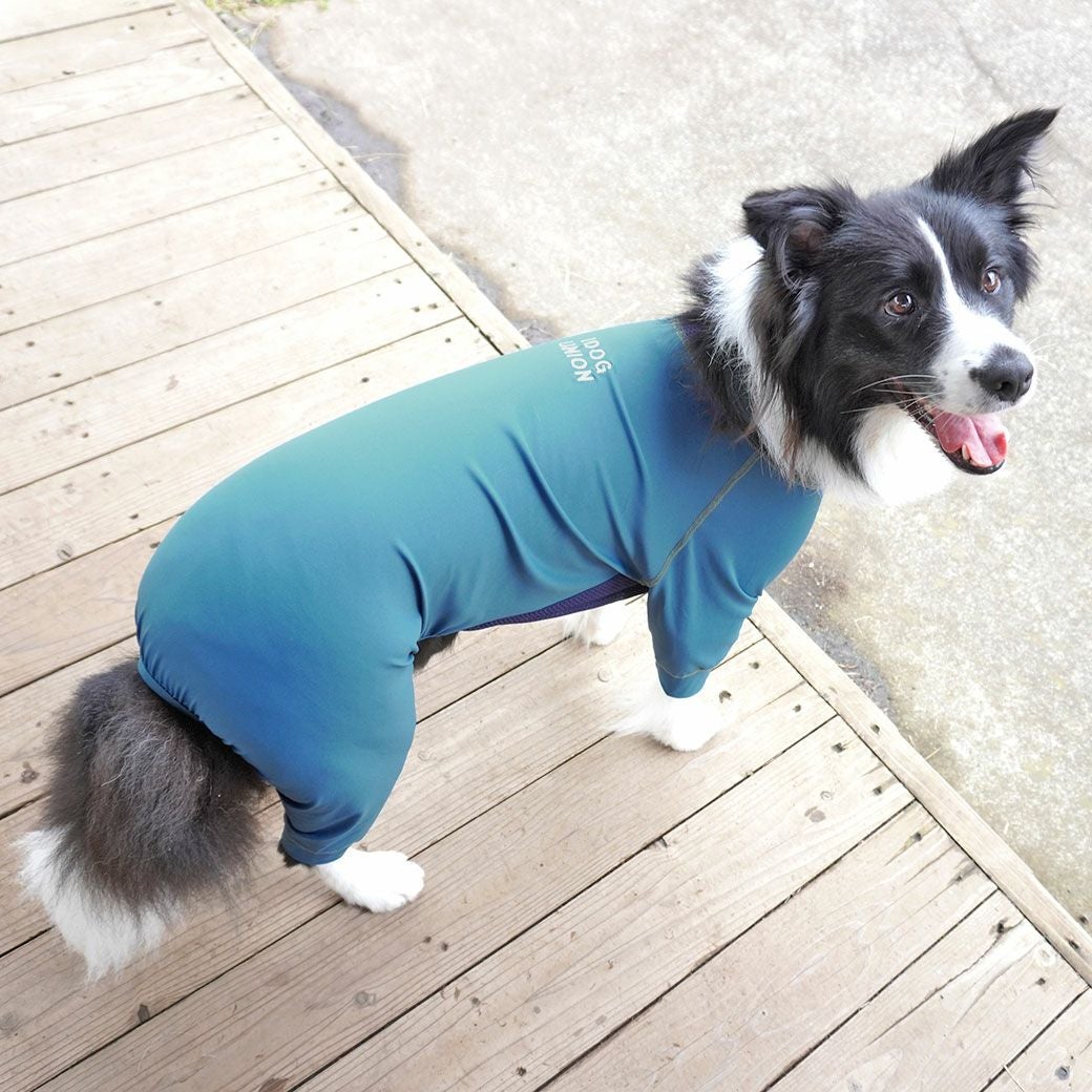 iDog 中大型犬用 ウルトラフィットドッグカバー アイドッグ-犬猫ペット