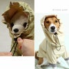 スヌードタイプは愛犬の頭にピッタリフィット