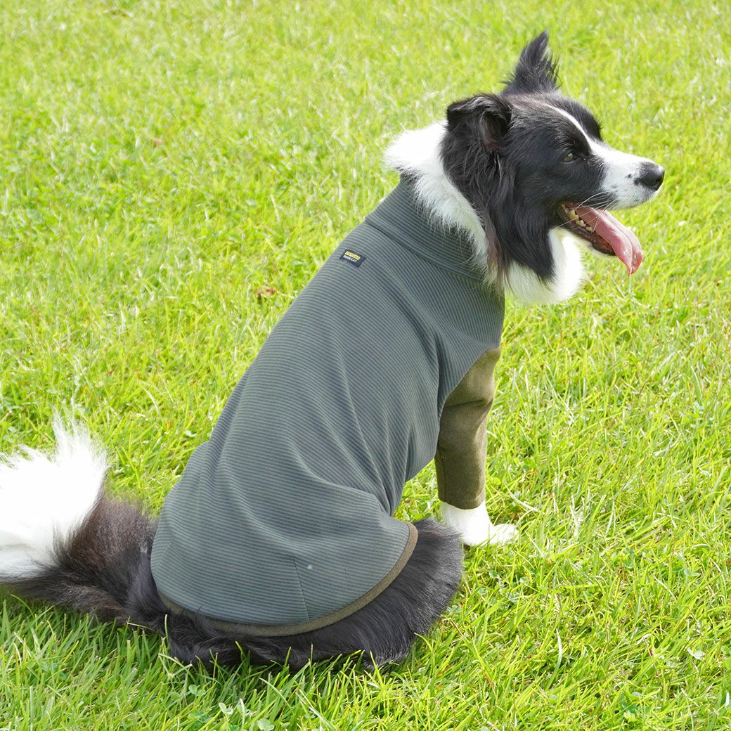 iDog 中大型犬用 ロングスリーブハイネック-犬猫ペット用品通販